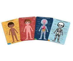 4 Puzles Educativos El Cuerpo Humano