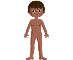4 Puzles Educativos El Cuerpo Humano