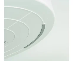 Bandeja Sensorial PlayTray con Compartimentos y Tapa Extraíbles