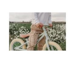 Bicicleta de Equilibrio Verde Mate