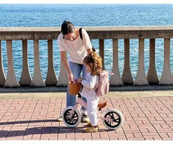 Bicicleta Equilibrio Premium Pink