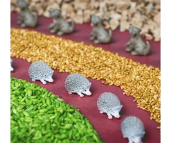 Botella Sensorial Forest