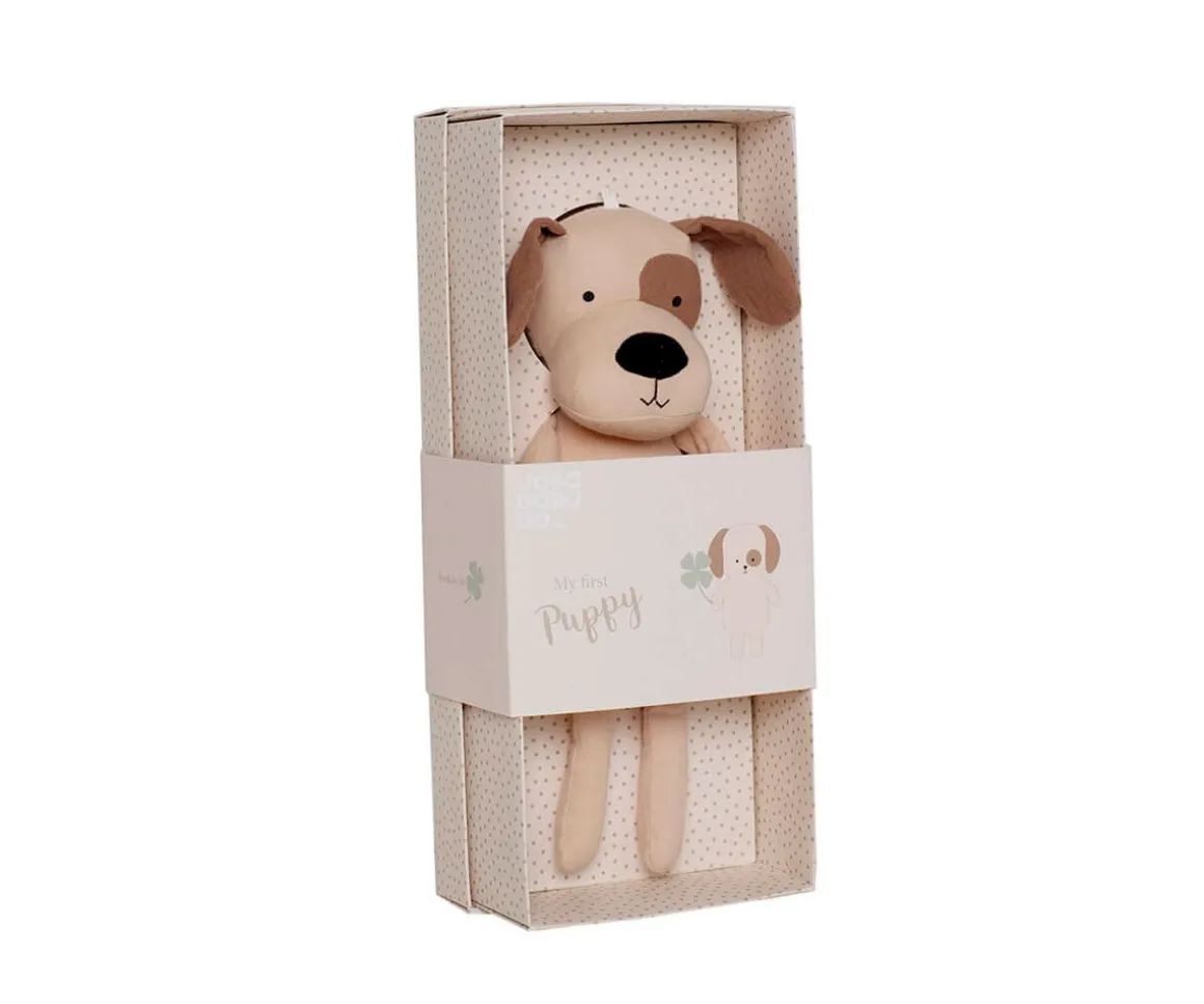 Caja Regalo Buddy Puppy