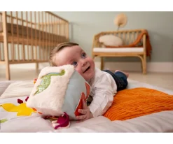 Cubo Actividades Dino Friends