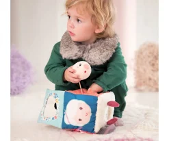 Cubo de Actividades Louis El Lobo