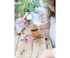 Cubo Metal Fairy Garden