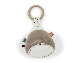 Gimnasio Actividades Lalee Sand