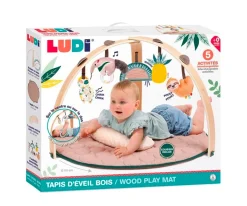 Gimnasio de Actividades Ludi