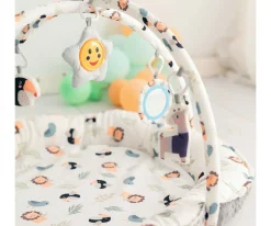 Gimnasio de Actividades Lion