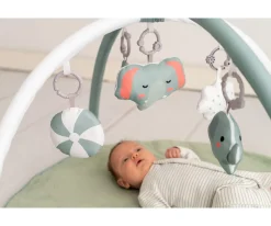 Gimnasio de Actividades Mint