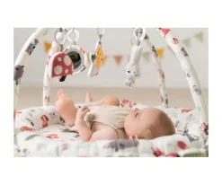 Gimnasio de Actividades Reversible Forest Green