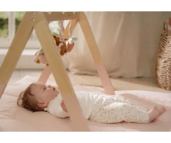 Gimnasio Infantil Madera Fairy Garden