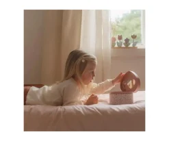 Joyero Musical Corazón Fairy Garden