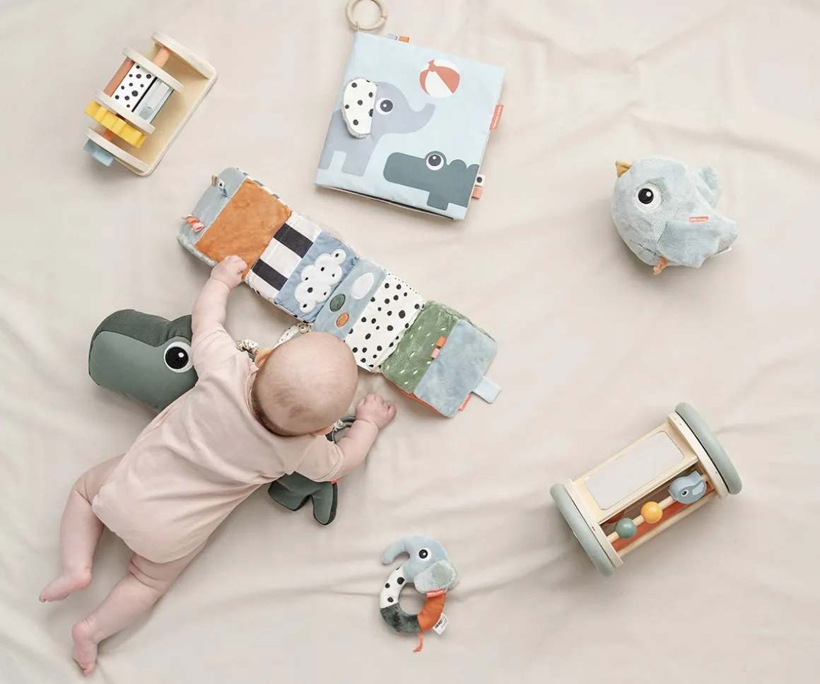 Juguete de Actividad Giratorio Birdee