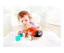 Mariquita Clasificadora de Formas