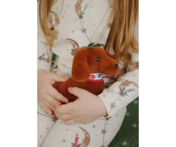 Mascota Cachorro Multi