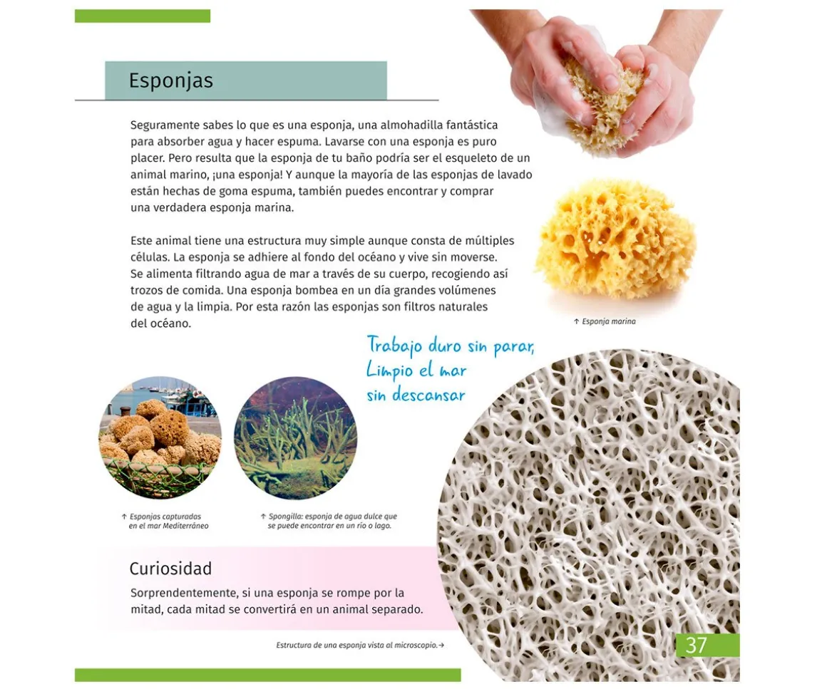 Microscopio Levenhuk LabZZ M101 Naranja + Libro Educativo