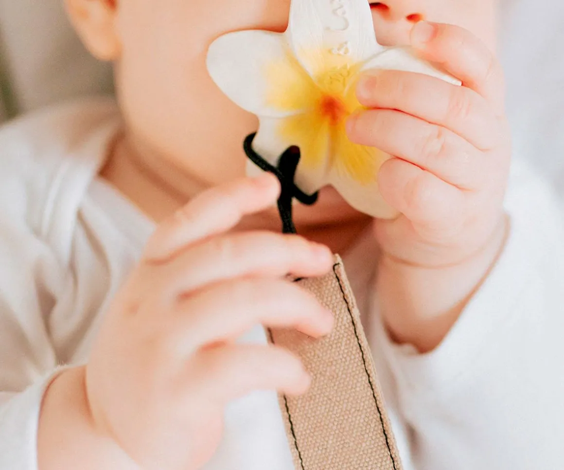 Mini Flor Mordedor Látex Oli&Carol Hawaii Flower