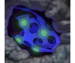 Pack Ocean Creatures 24 Piezas