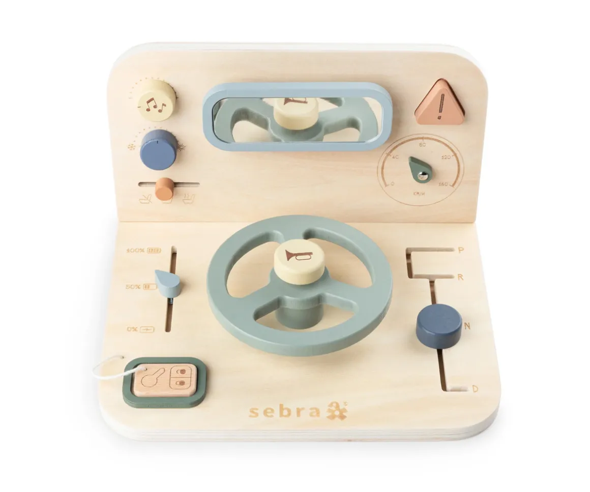 Panel de Actividades Car