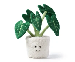 Peluche Alocasia Bonsai