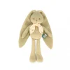 Peluche Rabbit Verde Pequeño Personalizable