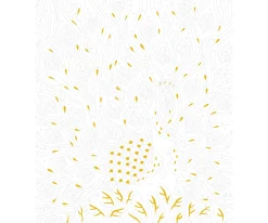 Pintura Por Números Pájaros Fabulosos