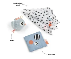 Set de Juguetes Sensoriales Birdee Azul