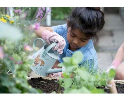 Set de Regalo Jardín Forest Friends