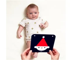 Tarjetas para Bebés High Contrast