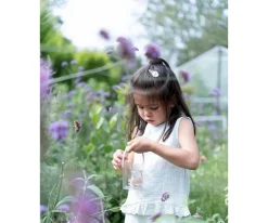 Tarro para Insectos Fairy Garden FSC