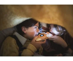 Zoo Walkie Talkie Rabbit / Bear